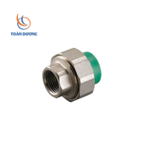 RẮC CO GIÃN REN TRONG PPR RẮC CO GIÃN REN TRONG PPR